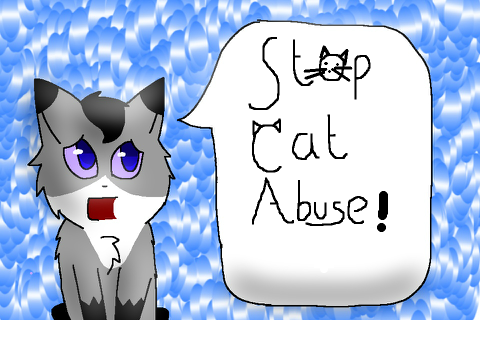 STOP CAT CRUELTY!!!!!! remix