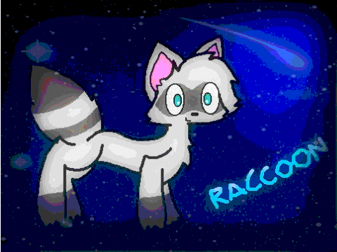 Draw a raccoon contest ENTRY