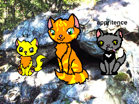 warrior cat sprites for u! remix