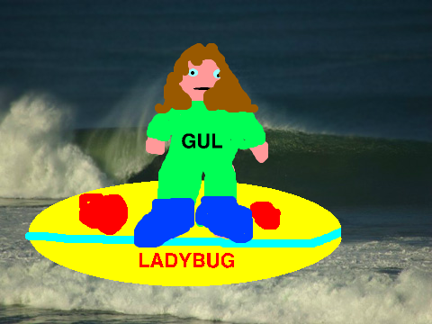 me surfing
