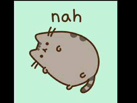 Pusheen!