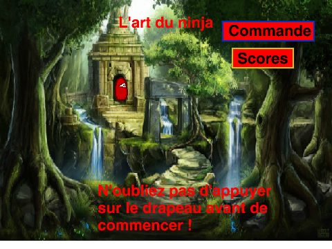L'art du ninja