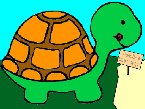 Turtle CC - Entry - FK 