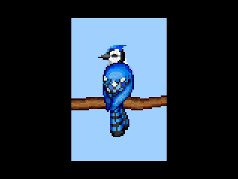 Blue Jay
