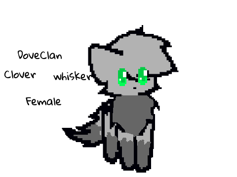Warriors Cat Generator