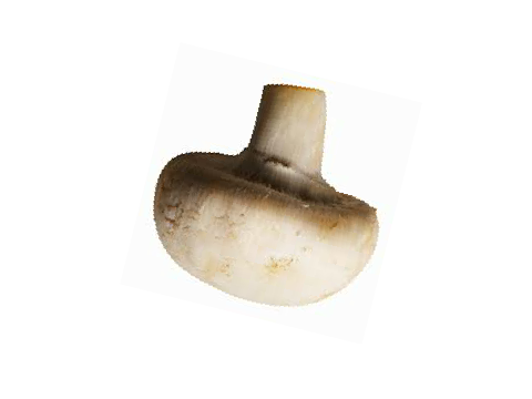 Mushroom Fan