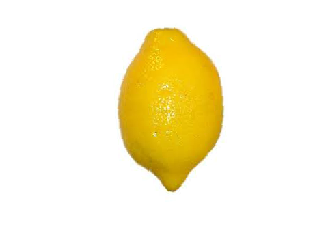 Lemon Squares