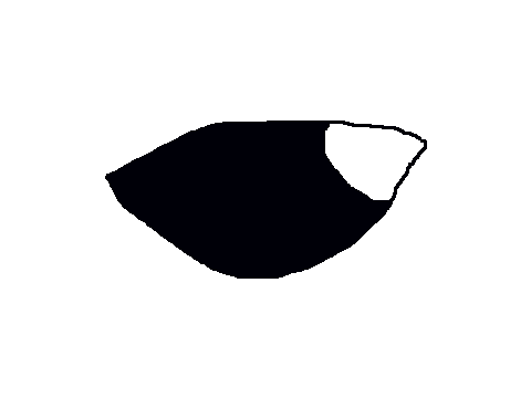 Blinking eye-ness