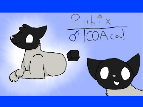 Not the last DTA Entry {Rubix}