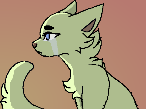 Sad cat CCE