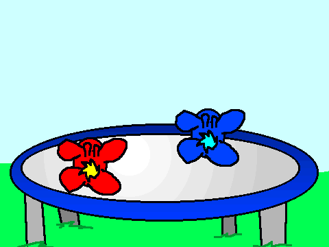 Add your chibi goldfish jumping on a trampoline! =3