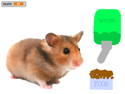 Hamster Fun