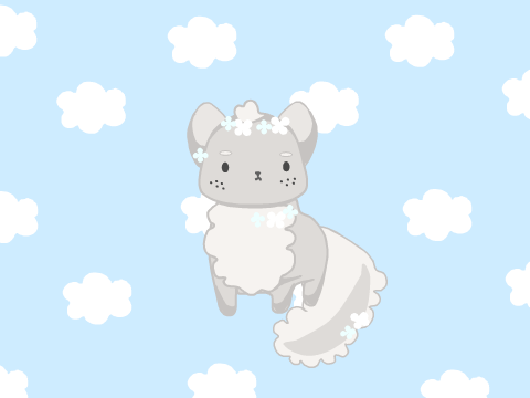 Cloud Cat