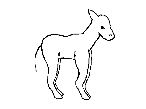 Wild Horses RP Character Template