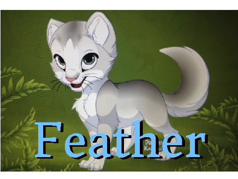 Feather - The Four Clans RP