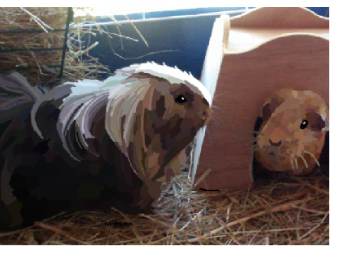 Guinea Pig Block Shade