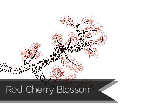 Red Cherry Blossom
