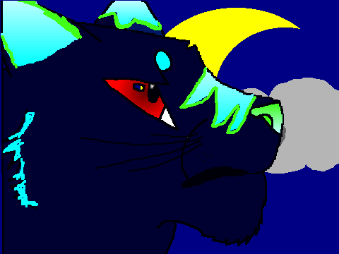 Cat Coloring Contest