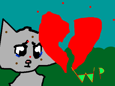 Stiches remix