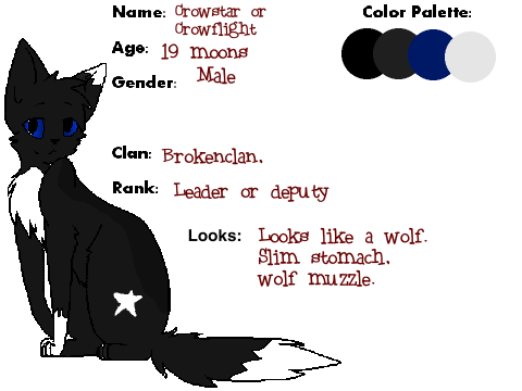 Custom your warrior! (Brokenclan/Shadowclan remix)
