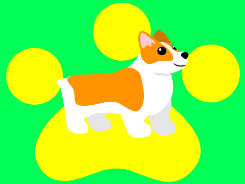 Meet Olaf The Corgi!!!