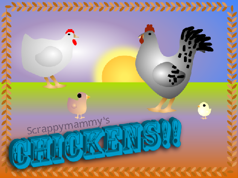 Chickens!!!