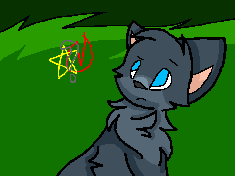Into the Wild remix