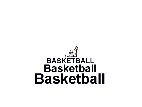 Basket BALL