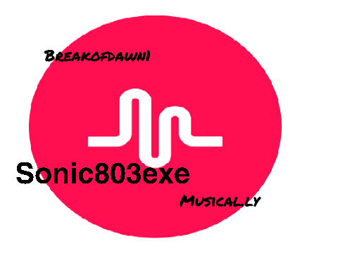 follow me on musical.ly PLZ! remix