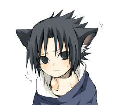 I'm a wolf now.