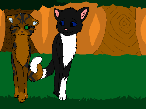 Crowflight and Badgerstar
