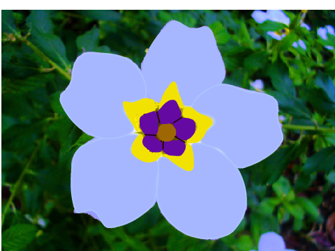 Flower Blockshade☺