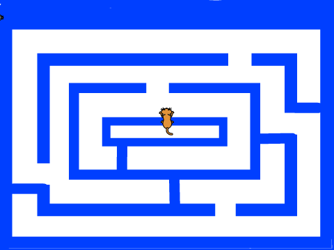 2 player maze with cat and mouse.
