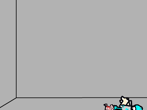 ragdoll EXPERIMERNT