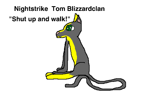 Stormclan and Blizzardclan audditions remix