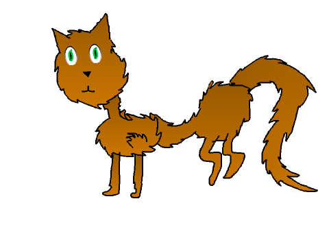 My first cat drawing
