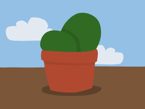♡ cactus ♡