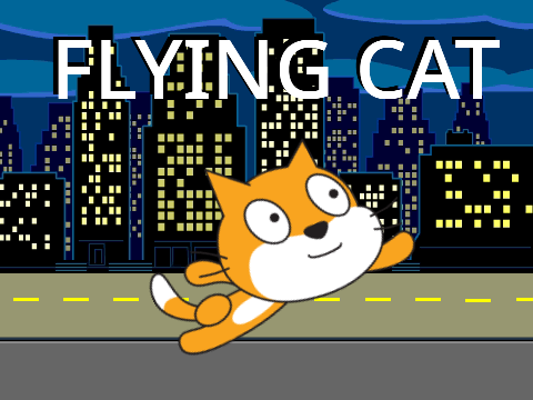 Flying Cat