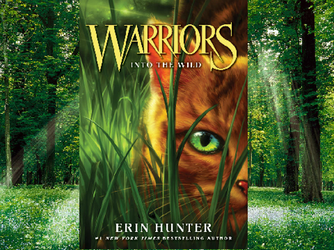 Warriors Books (New Covers)