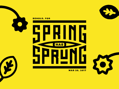 Spring Has Sprung! Motion Graphic