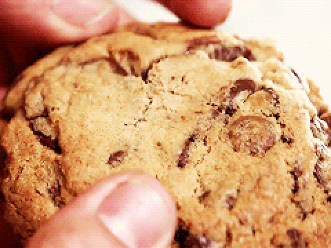 The yummy chocolate