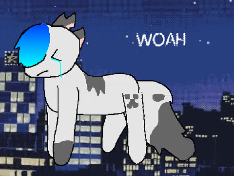 ＣＯＰＹＣＡＴ