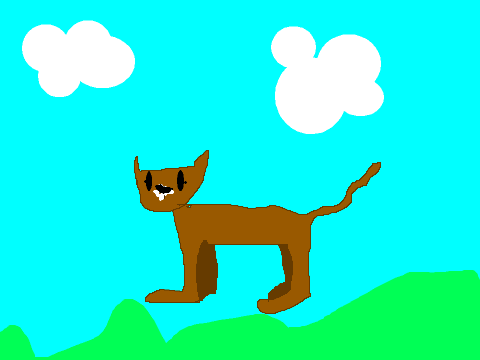 WillowKit