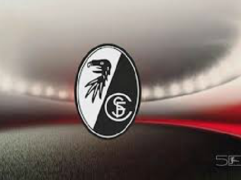 SC Freiburg information (look at instructions)