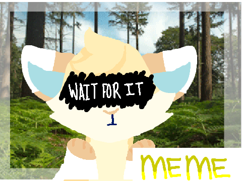 + W A I T  F O R  I T  (GIFT!) +
