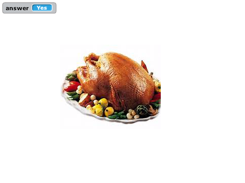 The Turkey's Questions remix 