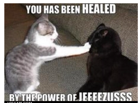 Funny and Cute Photos :D