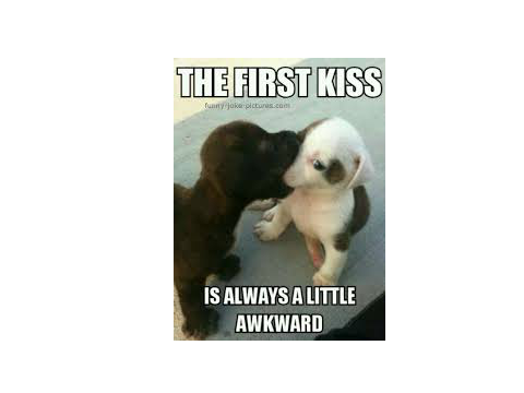 Funny Dog memes 2 