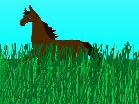 I Drew A Horse!!