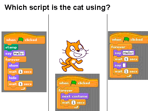 QUIZ!